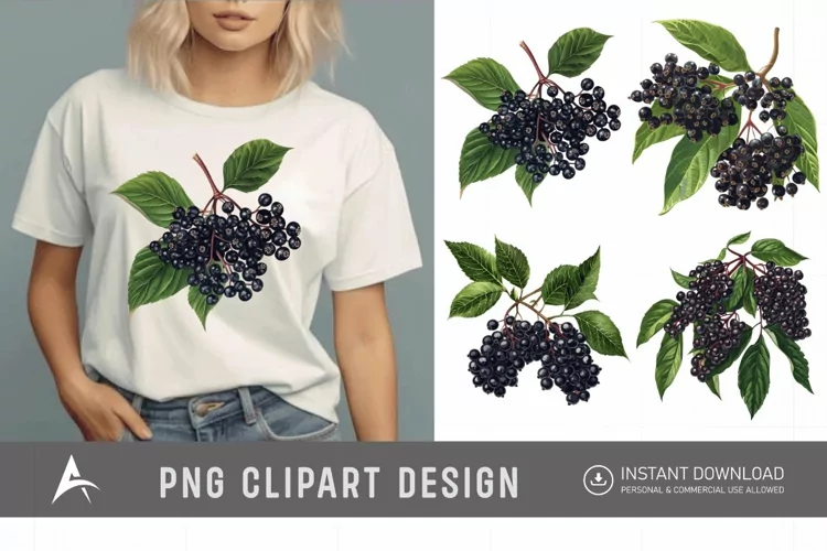 Watercolor Elderberry Clipart