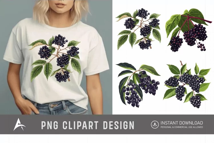 Watercolor Elderberry Clipart