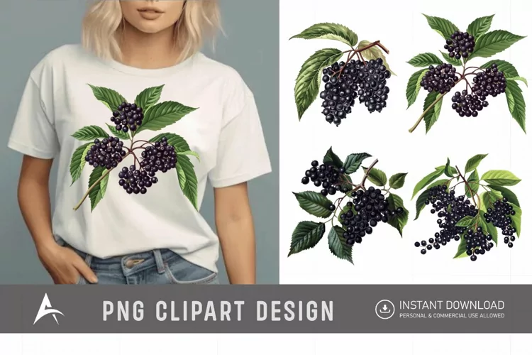 Watercolor Elderberry Clipart