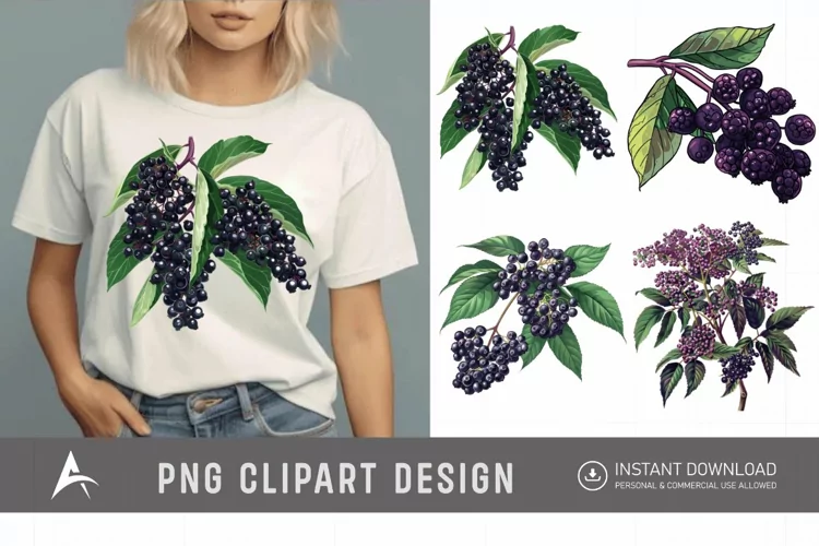 Watercolor Elderberry Clipart