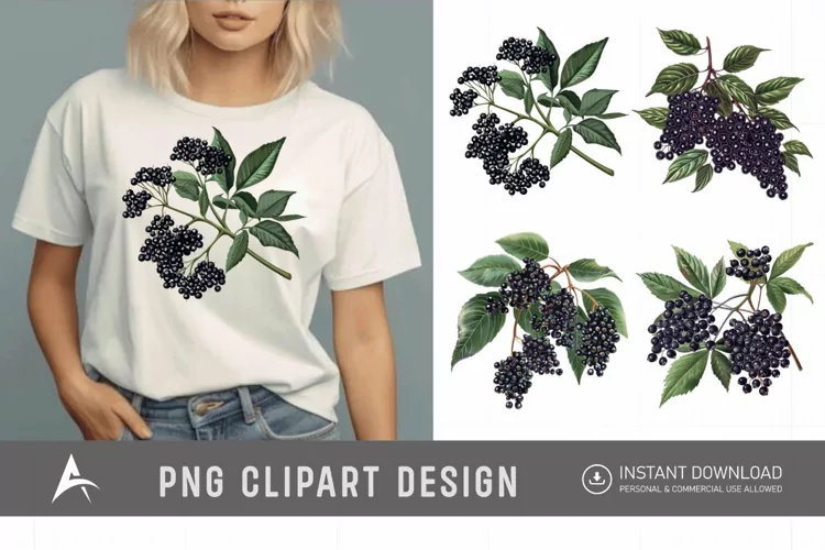 Watercolor Elderberry Clipart