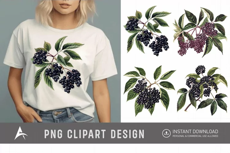 Watercolor Elderberry Clipart