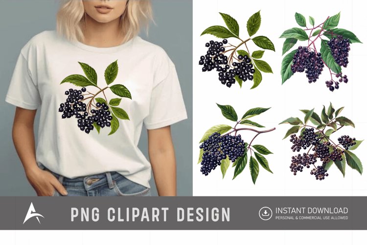 Watercolor Elderberry Clipart