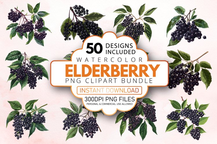 Floral Clipart Image 19