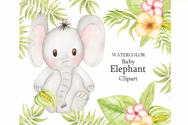 Watercolor Cute Elephant Clipart