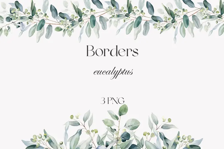 Watercolor eucalyptus borders clipart