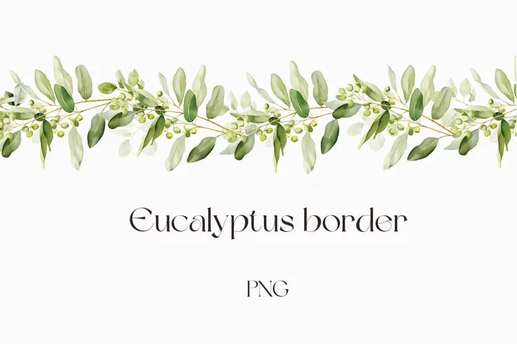 Watercolor eucalyptus border clipart