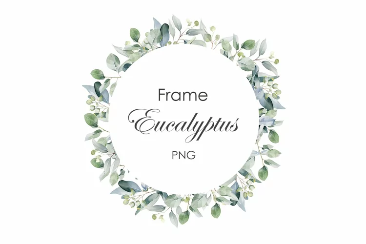 Watercolor eucalyptus frame