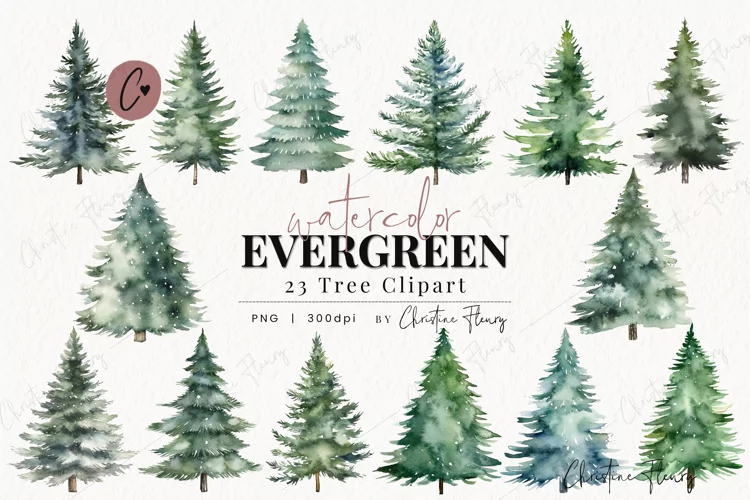 23 Watercolor Evergreen Clipart