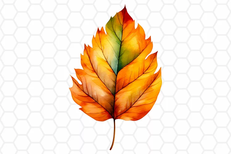 Watercolor Fall Leaf Clipart, Autumn Sublimation PNG
