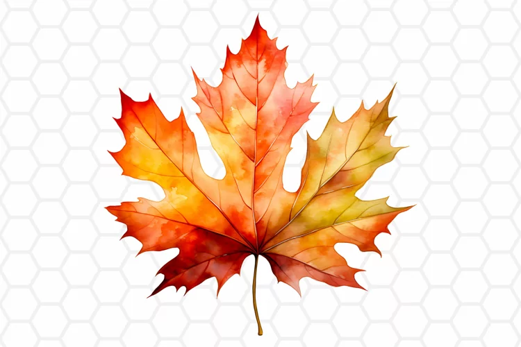 Watercolor Fall Leaf Clipart, Autumn Sublimation PNG