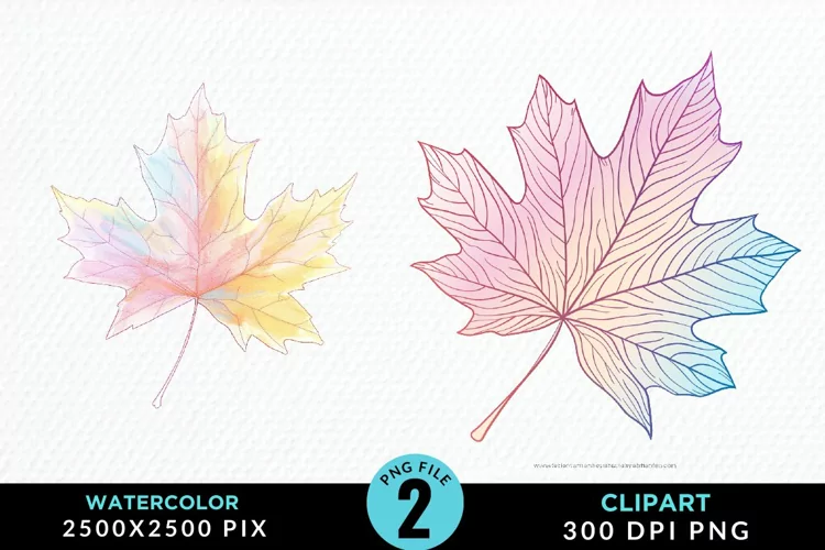Watercolor Fall Leaves Design Clipart