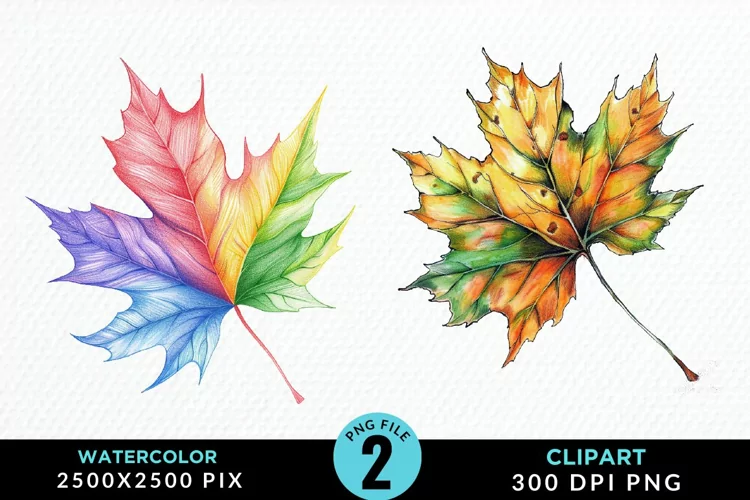 Watercolor Fall Leaves Design Clipart