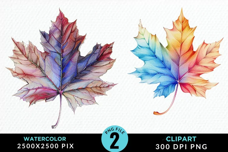 Watercolor Fall Leaves Design Clipart