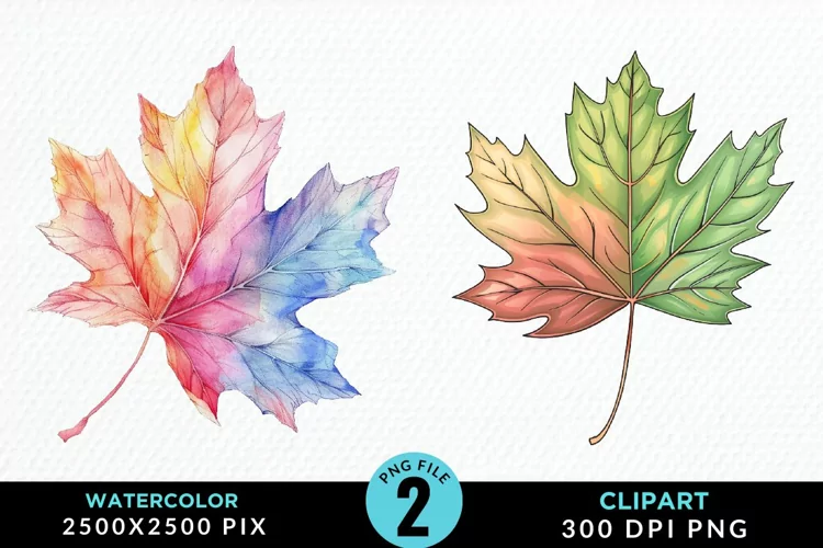 Watercolor Fall Leaves Design Clipart