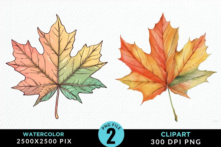 Watercolor Fall Leaves Design Clipart