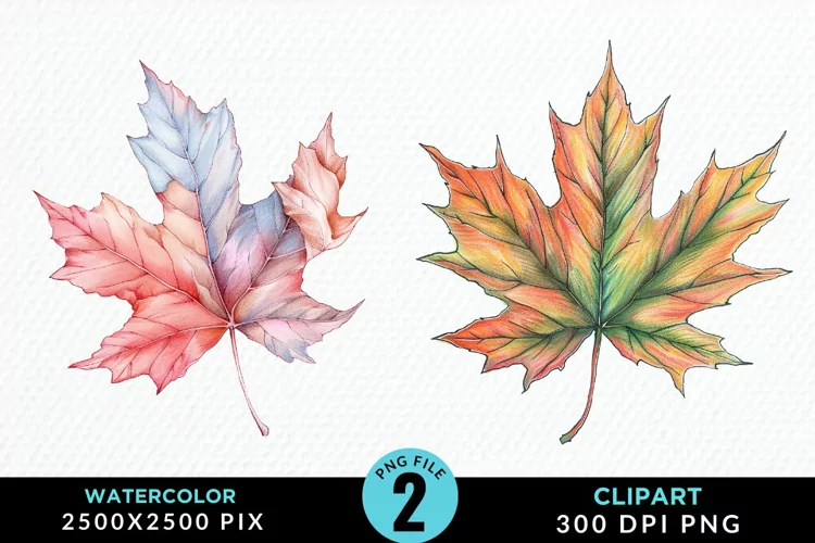 Watercolor Fall Leaves Design Clipart