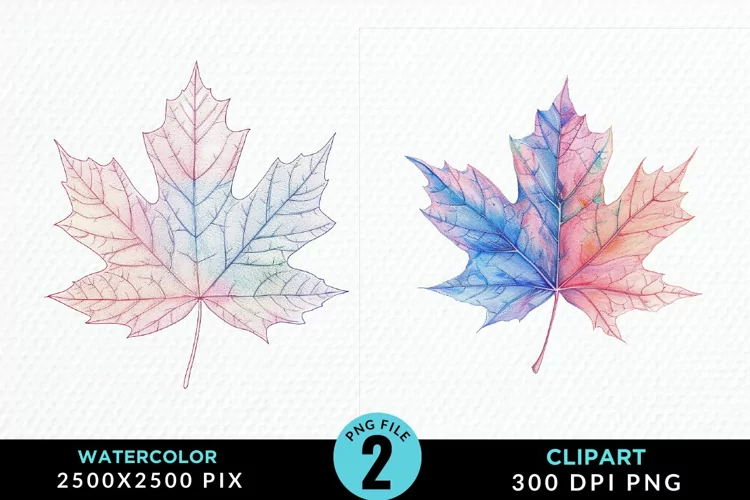 Watercolor Fall Leaves PNG Clipart