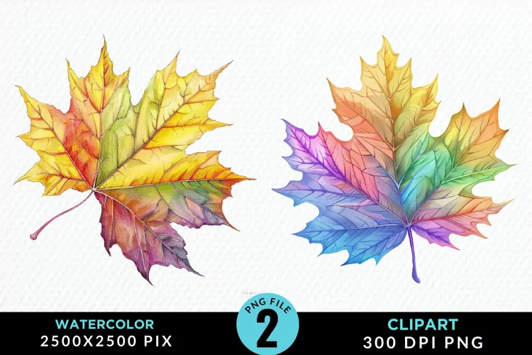 Watercolor Fall Leaves PNG Clipart