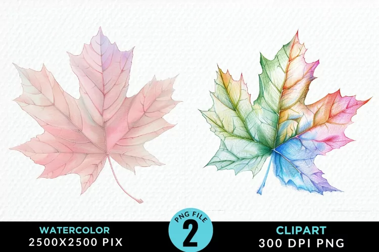 Watercolor Fall Leaves Design Clipart