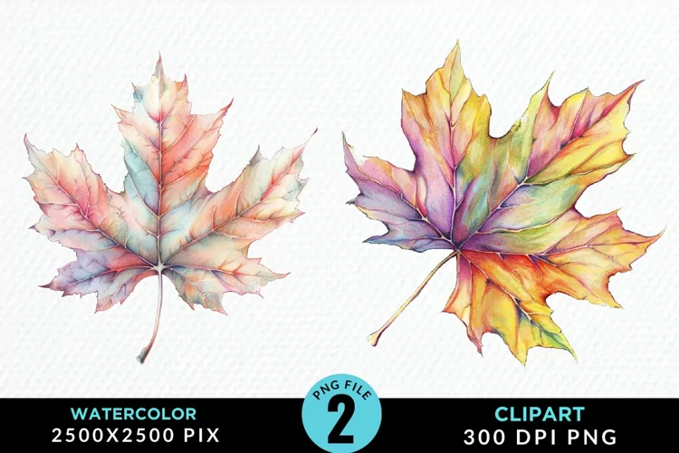 Watercolor Fall Leaves PNG Clipart