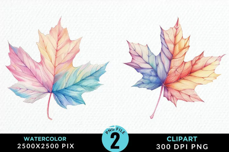Watercolor Fall Leaves PNG Clipart