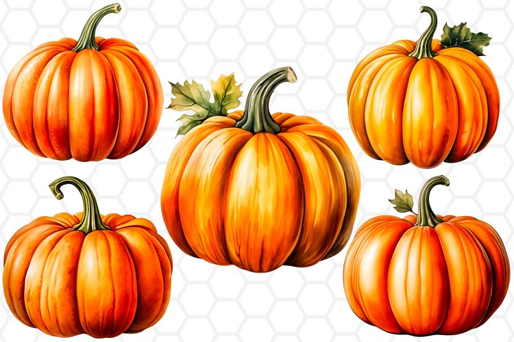 Pumpkin Watercolor Png Image 19