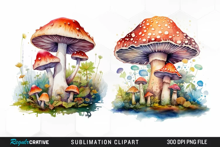 Watercolor Fantasy Mushroom Clipart