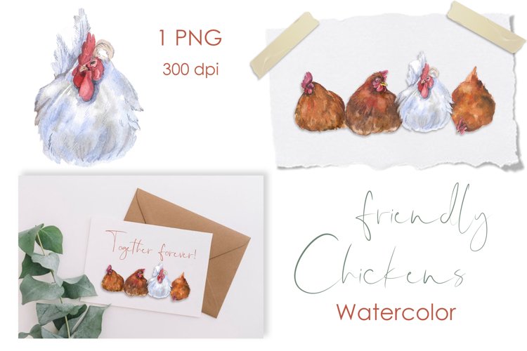 Watercolor farm Clipart. Funny Clipart. Chickens Clipart png