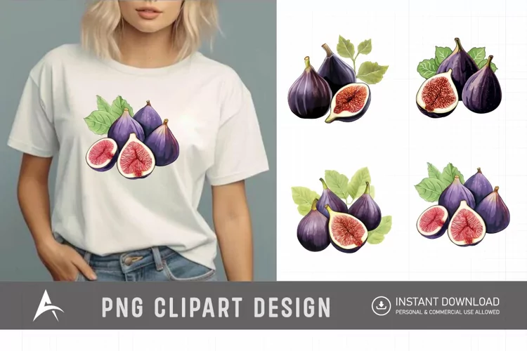 Watercolor Fig Fruits Sublimation Clipart