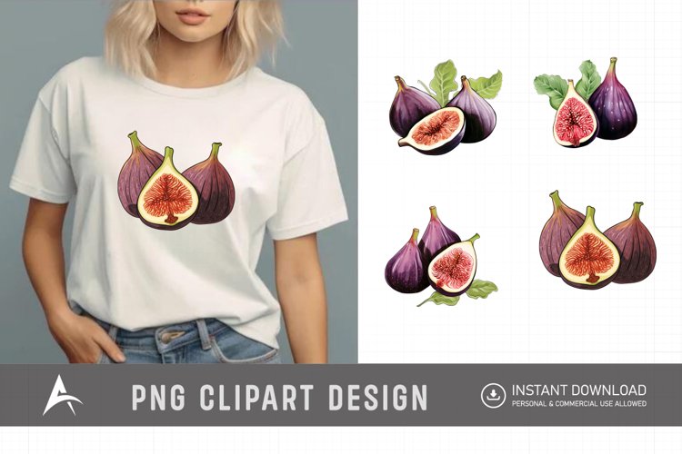 Fig Illustration Image 13