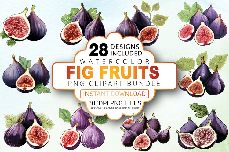 Fig Illustration Image 14