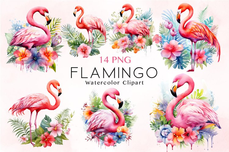 Flamingo Illustration Image 11