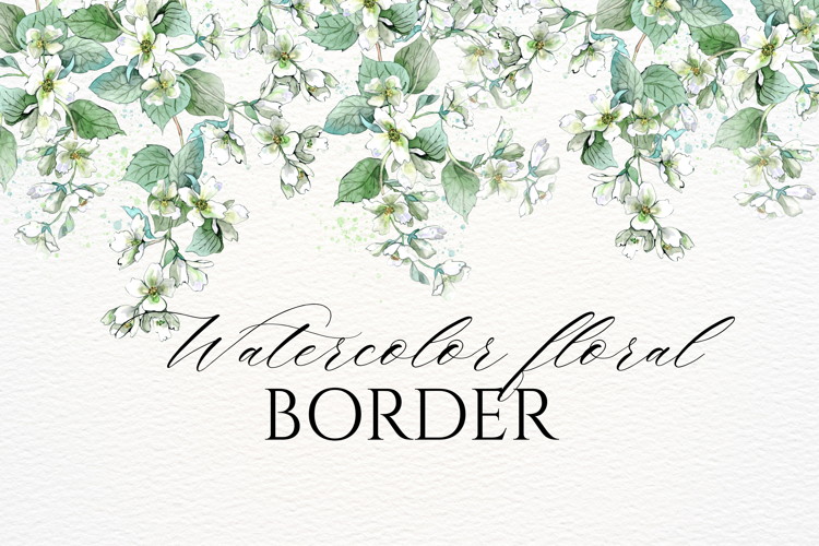 Watercolor Jasmine Floral Border PNG