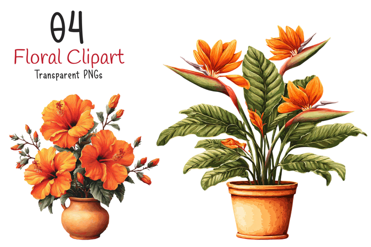 Watercolor Floral Clipart