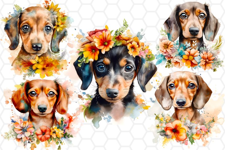 Dachshund Png Image 22