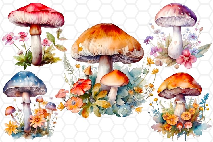 Mushroom Png Image 19