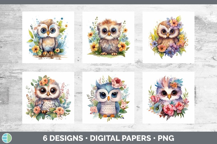 Owl Clipart Image 5