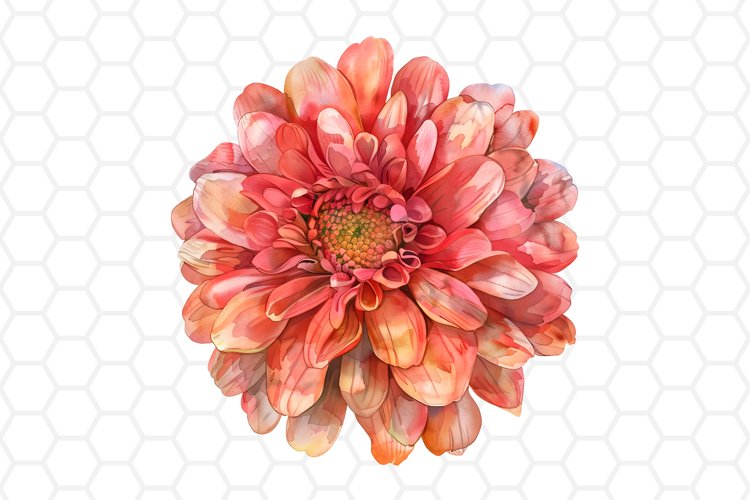 Watercolor Flower Clipart | Flower PNG