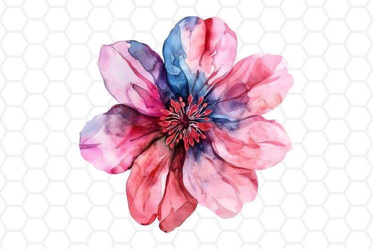 Watercolor Flower Clipart | Flower PNG