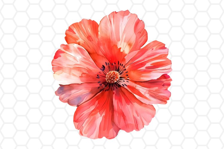 Watercolor Flower Clipart | Flower PNG