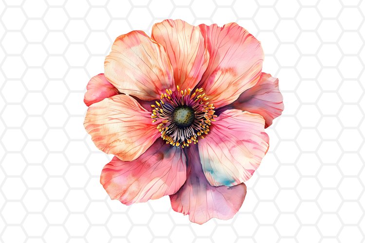 Watercolor Flower Clipart | Flower PNG