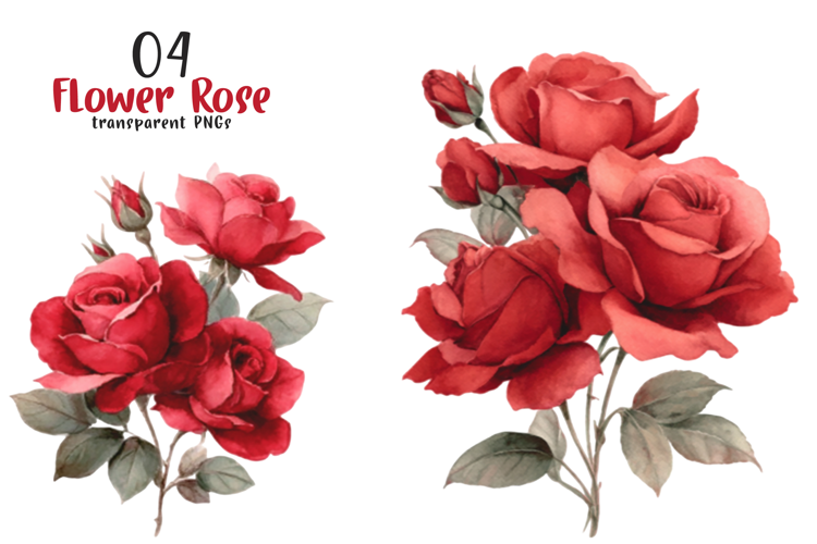 Watercolor Flower Rose Clipart
