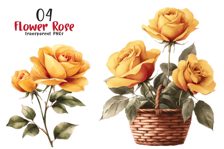 Watercolor Flower Rose Clipart