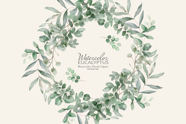 Watercolor Eucalyptus Clipart Image 20