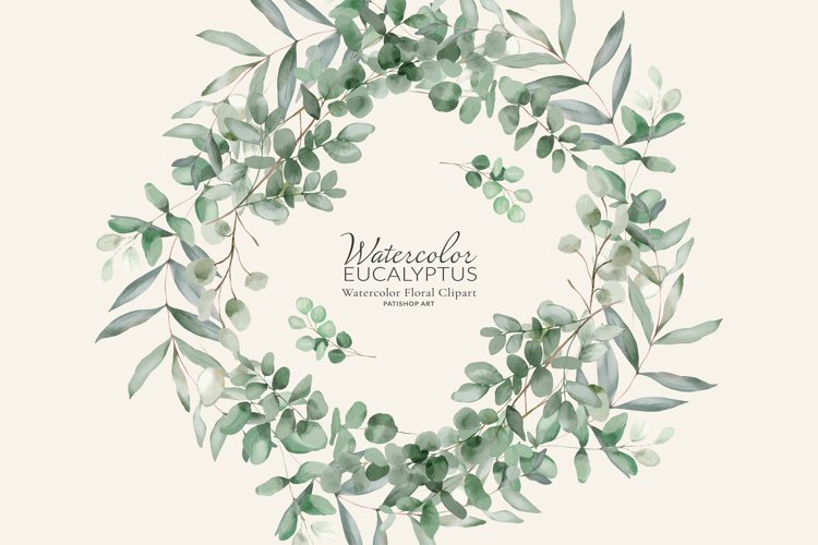 Watercolor Eucalyptus Clipart Image 5