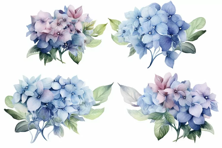 Watercolor Flowers Bouquets, illustration Background
