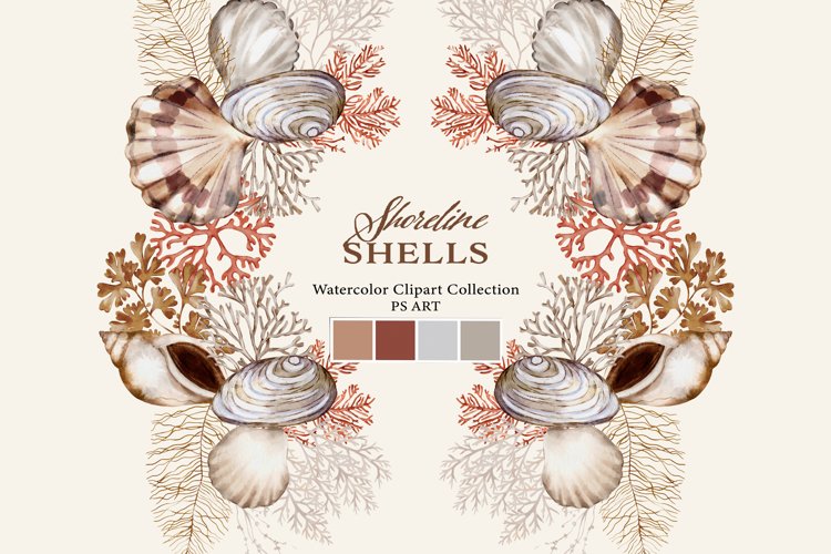 Shells Clipart Image 3