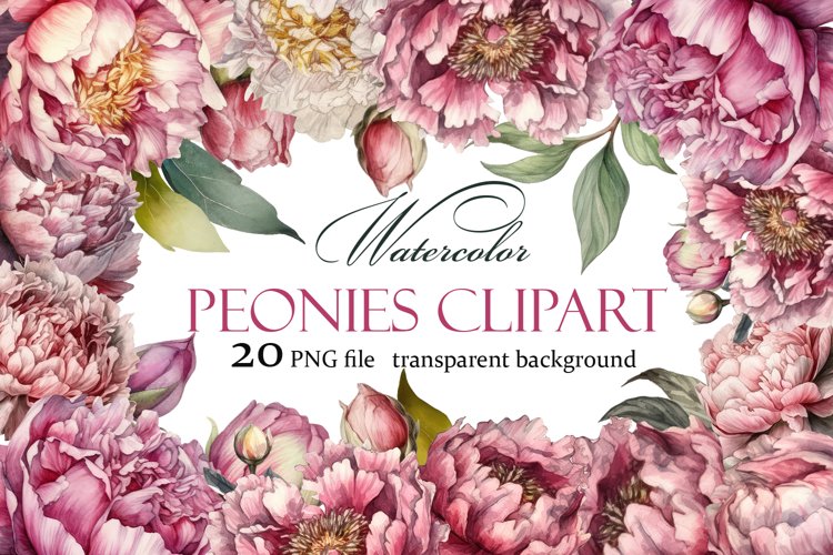 Watercolor Peony flower Clipart