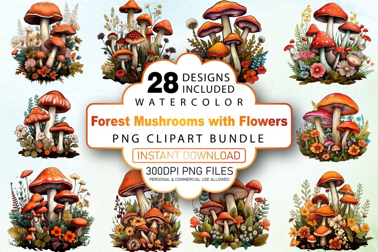 Forest Illustration Image 14